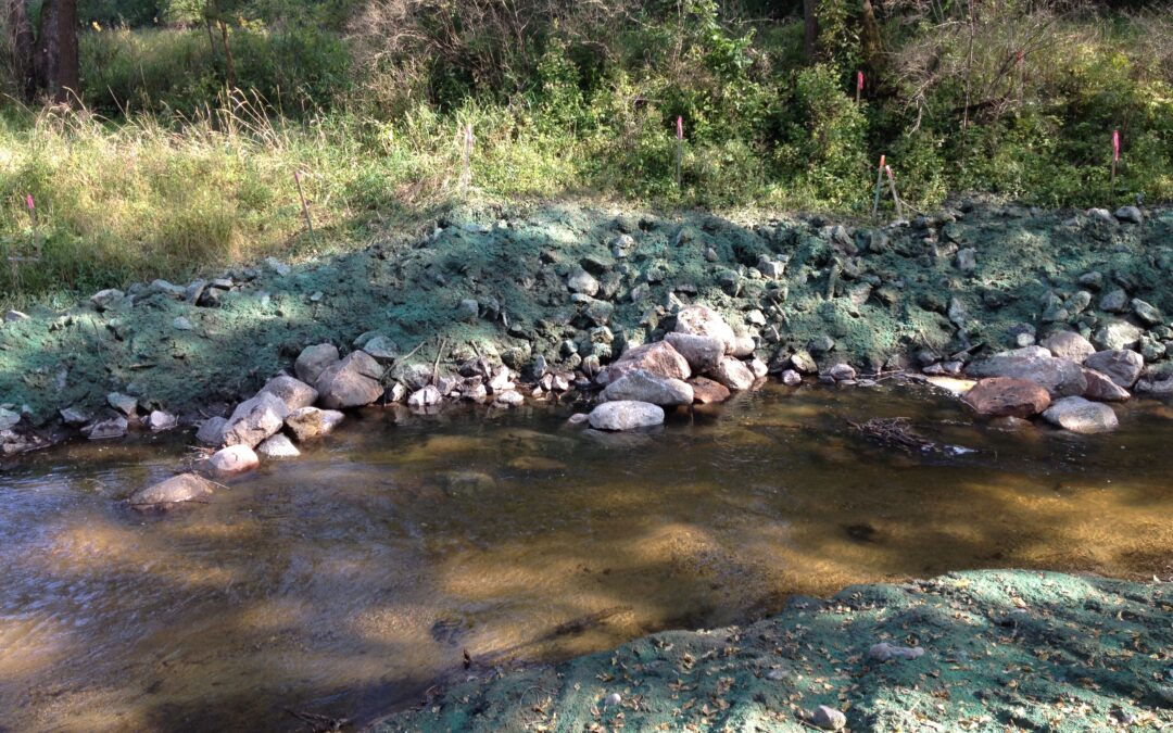 Streambank restoration