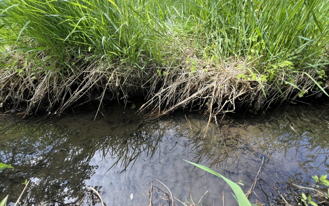 Stream restoration