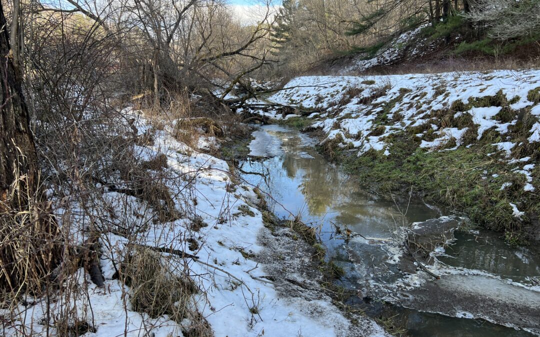 Stream mitigation bank site