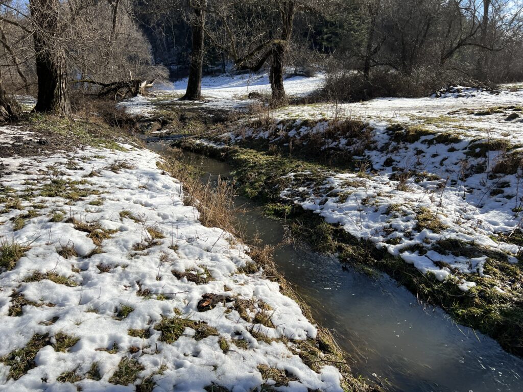 Stream mitigation bank site