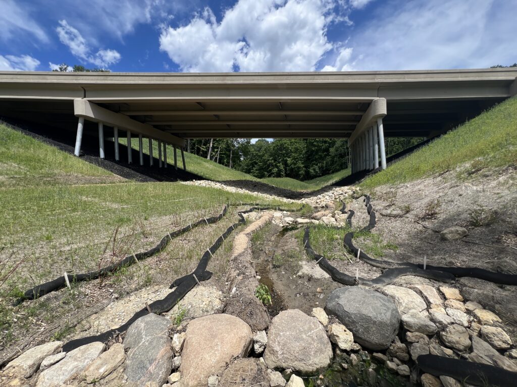 Stream daylighted and resotred.
