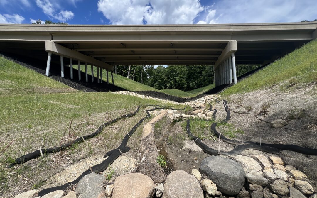 Restored stream in Minnesota